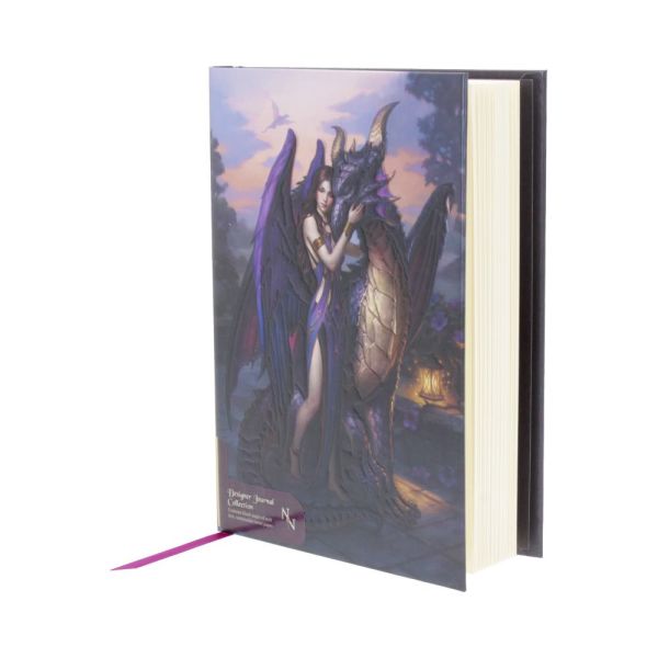Dragon Sanctuary Notizbuch Tagebuch by James Ryman