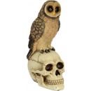 Totenkopf mit Eule